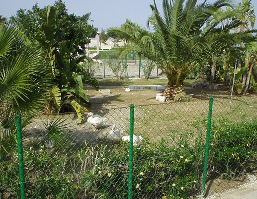 Villa Bagnoli (mini - zoo)